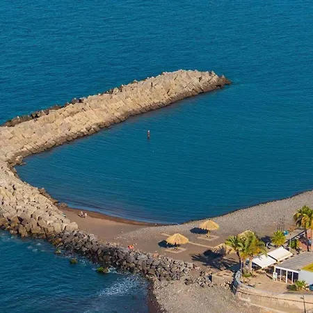 Giesta Flower By Madeira *