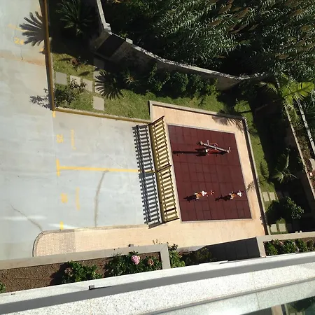 Giesta Flower By Madeira Ribeira Brava