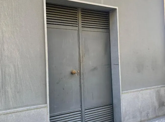 Giesta Flower By Madeira * Ribeira Brava