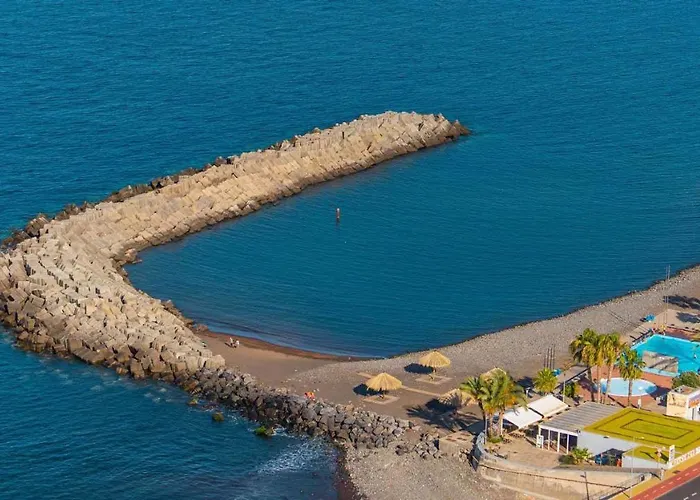 Giesta Flower By Madeira *