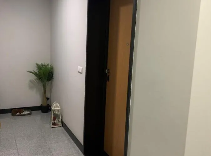 Giesta Flower By Madeira * Ribeira Brava