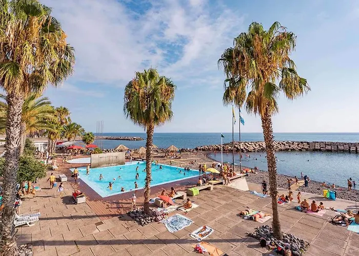 Giesta Flower By Madeira * Ribeira Brava