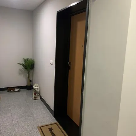 Giesta Flower By Madeira * Рибейра-Брава