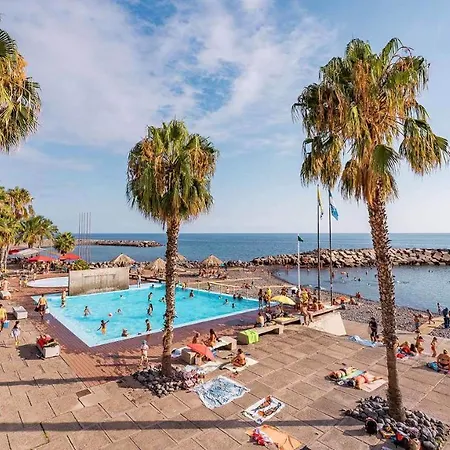 Giesta Flower By Madeira * Рибейра-Брава