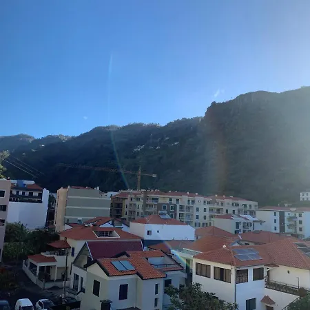 Giesta Flower By Madeira *