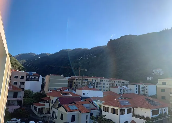 Giesta Flower By Madeira *