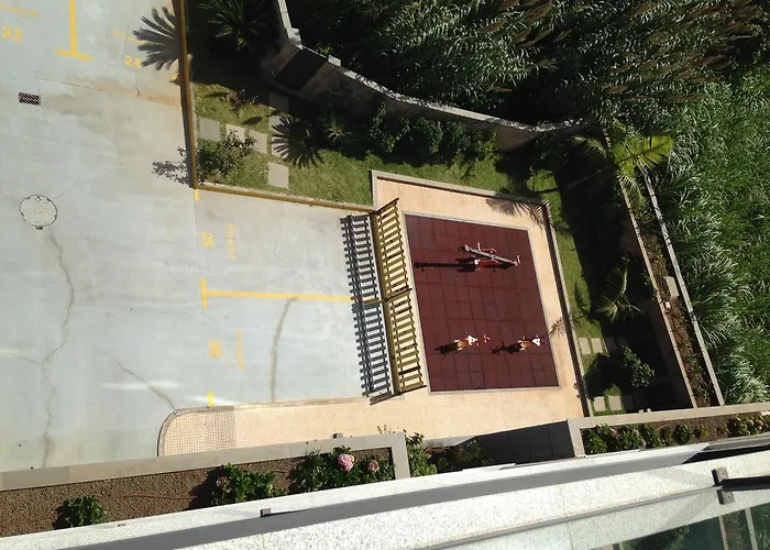 Giesta Flower By Madeira Ribeira Brava